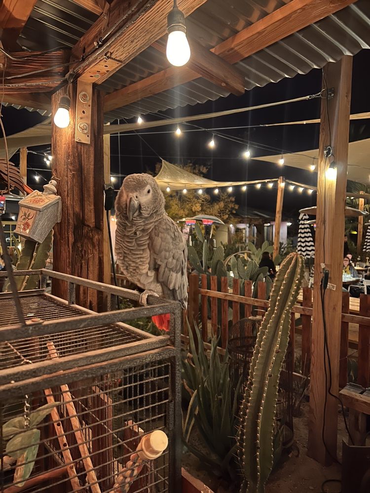 Kitchen In the Desert Cafe
