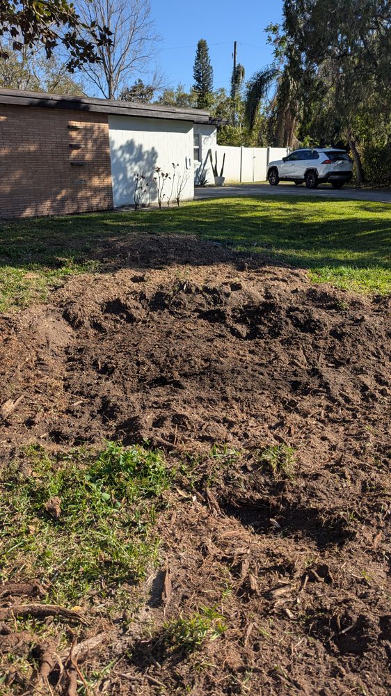 The Prince of Trees - tree service in Orlando, FL