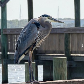 Parrish Park - Parks Near Me - Titusville, Florida Parrish Park - Parks Near Me - Titusville, Florida