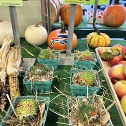 Miller's Farm Market