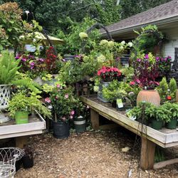 Gramma B's - Outside