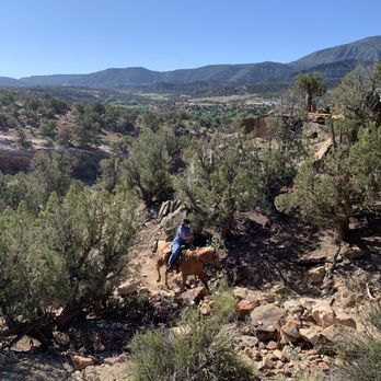 Canyon Trails Ranch - Horseback Riding Near Me - Cortez, Colorado