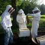 Photo of Elm Cottage Apiaries