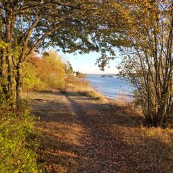 Fort Ward Park - Fall at Fort Ward