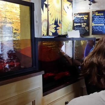 Sunflower Caffe - long line to order counter...take a number...self seating.. - Coffee & Tea Near Me - Sonoma, California