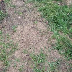 Apex Lawn Irrigation