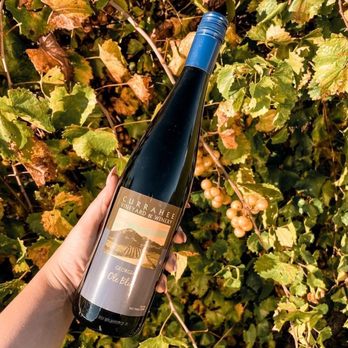 Currahee Vineyards & Winery - a hand holding a bottle of wine - Wineries Near Me - Pigeon Forge, Tennessee
