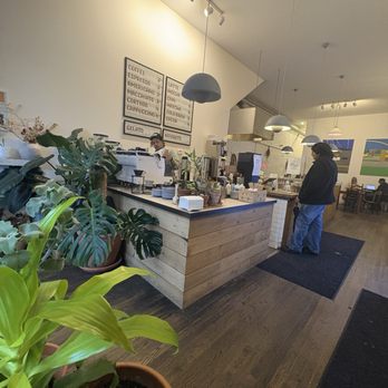 Alba - Excited! - Coffee & Tea Near Me - Detroit, Michigan