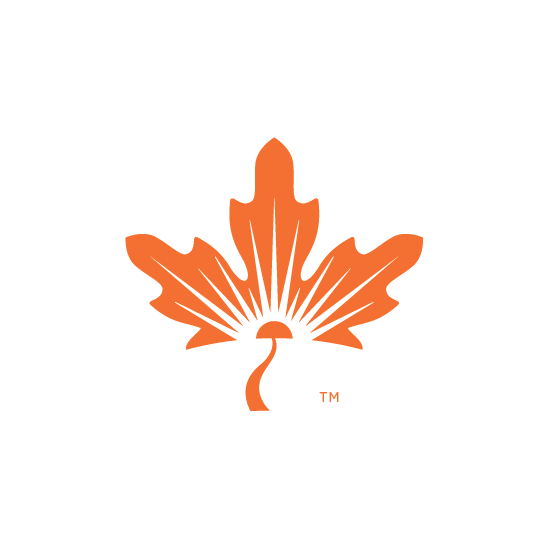 Maple Brooks Benefits & Consulting - social services organization in Helotes, TX