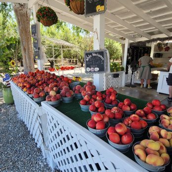 Cipponeri Family Farms - Farmers Market Near Me - Turlock, California Cipponeri Family Farms - Farmers Market Near Me - Turlock, California