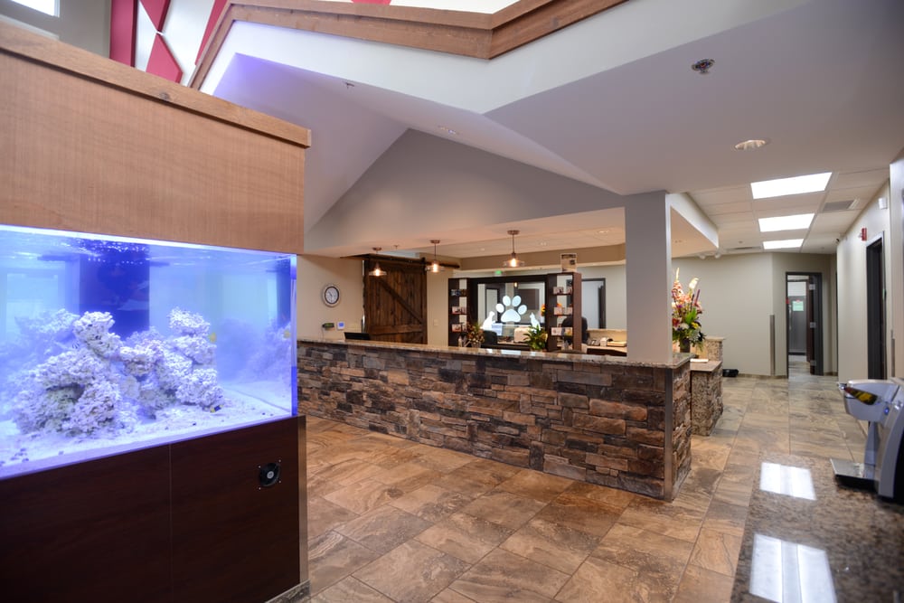 Eagle Animal Hospital and Pet Resort - pet boarding facility in Riverside, MO
