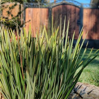 GB Landscaping Services - Landscaping Near Me GB Landscaping Services - Landscaping Near Me