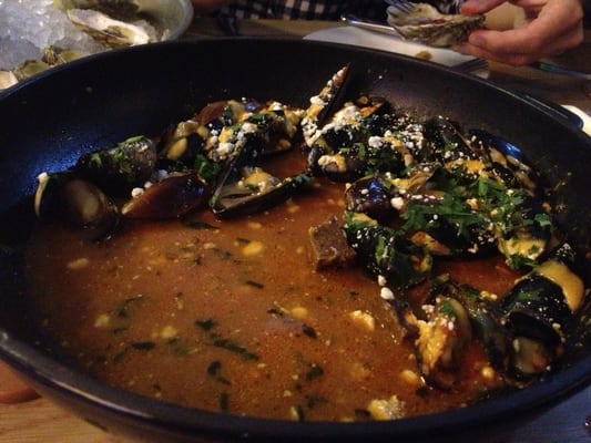 Mussel Bar & Grille Arlington by null