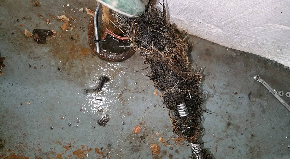 Slide of Busy Bee Drain