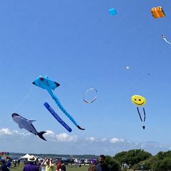 Newport Kite Festival