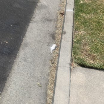 Rose Garden Landscaping - Grass left in street - Landscaping Near Me Rose Garden Landscaping - Grass left in street - Landscaping Near Me