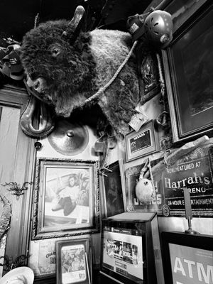 Genoa Bar and Saloon by null