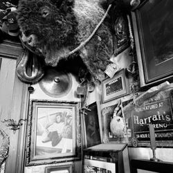 Genoa Bar