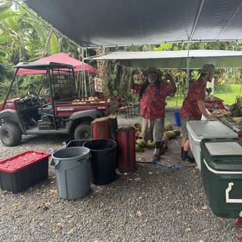 Manas Aloha Farm - Food Stands Near Me - Pepeekeo, Hawaii Manas Aloha Farm - Food Stands Near Me - Pepeekeo, Hawaii