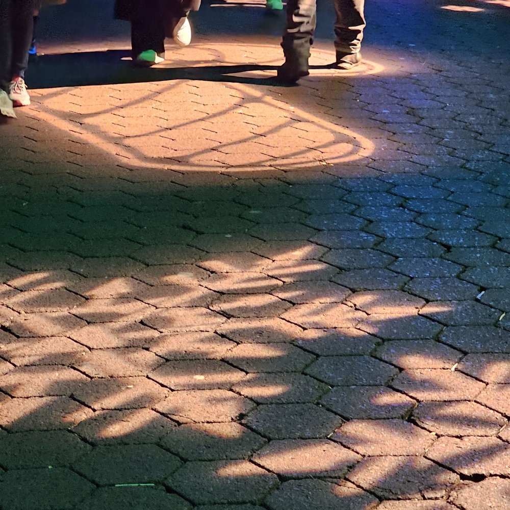 ZooLights - Zoos Near Me - Washington, DC, District of Columbia