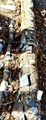 CENTER FOR ACTION AND CONTEMPLATION - Updated February 2026 - 13 Photos