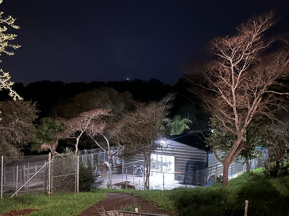 The Dog Lodge - pet boarding facility in Aromas, CA