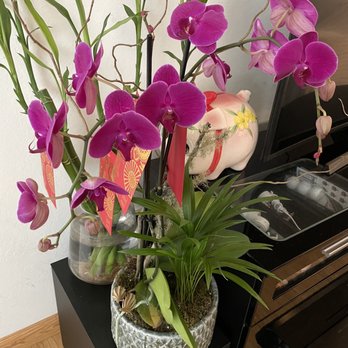 Westmoor Florist - Florists Near Me - Sunnyvale, California Westmoor Florist - Florists Near Me - Sunnyvale, California
