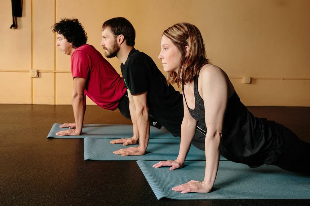 Monkey Bar Gym Missoula Logo