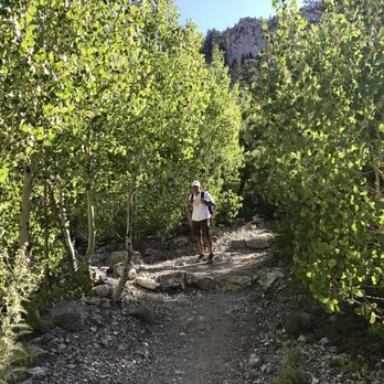 Trail Canyon Trail - One of many Aspen Groves, be sure to return in the fall for color changes. - Hiking Near Me - Las Vegas, Nevada Trail Canyon Trail - One of many Aspen Groves, be sure to return in the fall for color changes. - Hiking Near Me - Las Vegas, Nevada