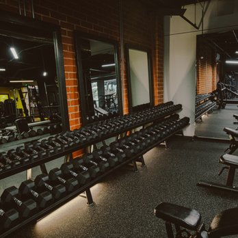 Conquer All Things - Dumbbells 3lbs to 100lbs - Trainers Near Me - Burbank, California Conquer All Things - Dumbbells 3lbs to 100lbs - Trainers Near Me - Burbank, California