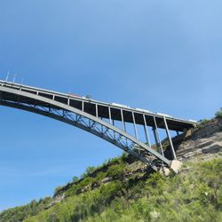 Whirlpool Jet Boat Tours
