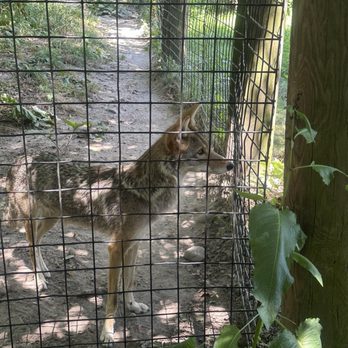 Buttonwood Park Zoo - Zoos Near Me - New Bedford, Massachusetts Buttonwood Park Zoo - Zoos Near Me - New Bedford, Massachusetts