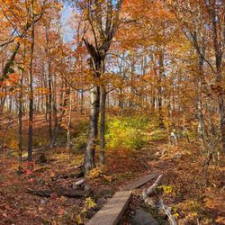 Oberg Mountain Trail