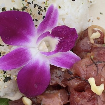 Barefoot Beach Cafe - Hawaiian Poke - Breakfast & Brunch Near Me - Honolulu, Hawaii Barefoot Beach Cafe - Hawaiian Poke - Breakfast & Brunch Near Me - Honolulu, Hawaii