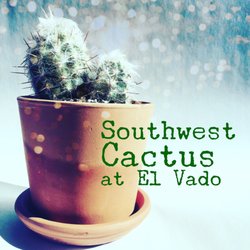 Southwest Cactus