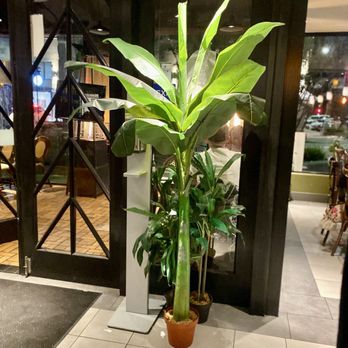 Avenida Restaurant - Entrance - Filipino Near Me - San Mateo, California