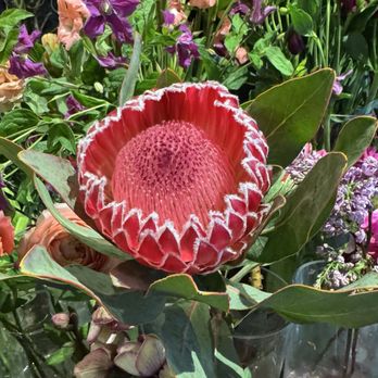 Bloem Decor Florist - Florists Near Me - Sacramento, California Bloem Decor Florist - Florists Near Me - Sacramento, California