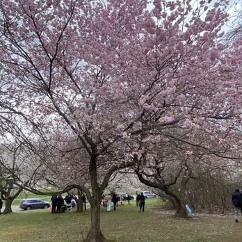 Branch Brook Park - Parks Near Me - Newark, New Jersey