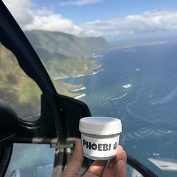 Blue Hawaiian Helicopters - My pup was going to join us on this trip, but she passed away May 15th. I brought some of her ashes with us - Aerial Tours Near Me - Kahului, Hawaii Blue Hawaiian Helicopters - My pup was going to join us on this trip, but she passed away May 15th. I brought some of her ashes with us - Aerial Tours Near Me - Kahului, Hawaii
