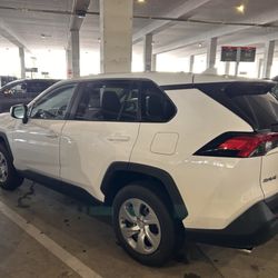 Avis Rent A Car