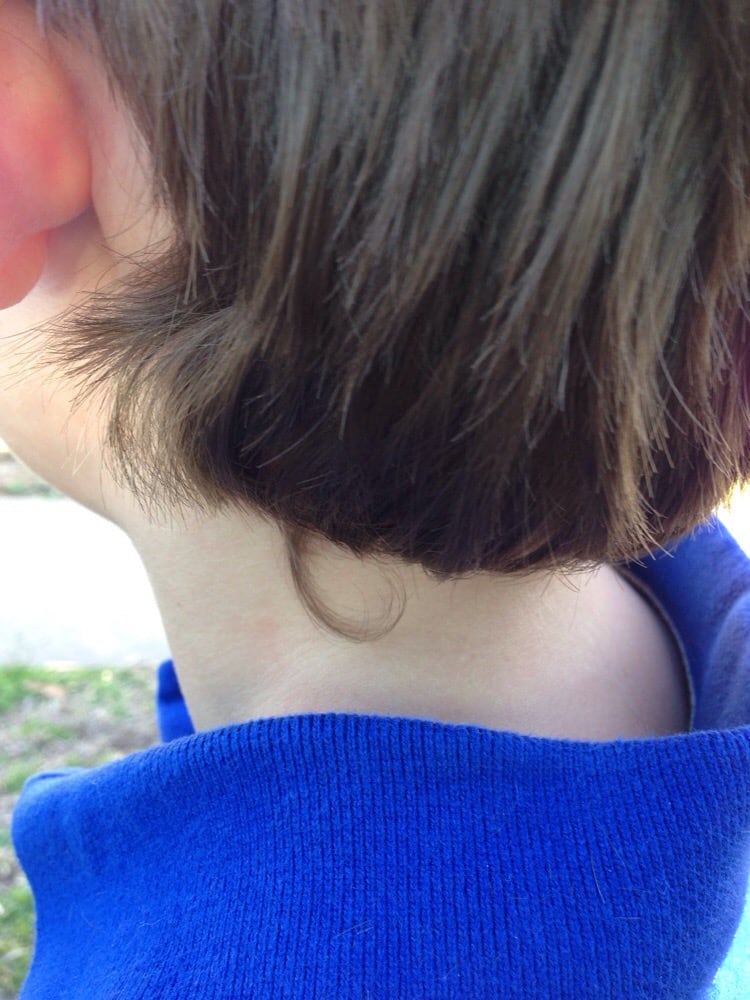 SPORTS CLIP Updated September 2024 14 Reviews 423 S Range Line Rd