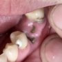 Photo of Reisman Alan DDS