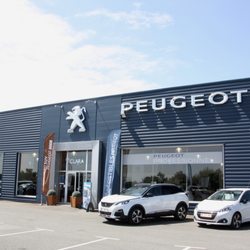 Concession Peugeot - Clara Royan
