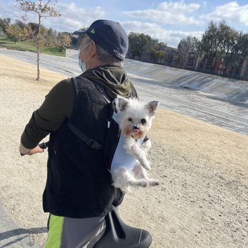 South Bay Cycle - my dad and my dog boba on our roll sport specialized bike. - Bikes Near Me - Manhattan Beach, California South Bay Cycle - my dad and my dog boba on our roll sport specialized bike. - Bikes Near Me - Manhattan Beach, California