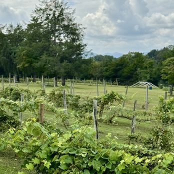 Rebec Vineyards - Wineries Near Me - Amherst, Virginia