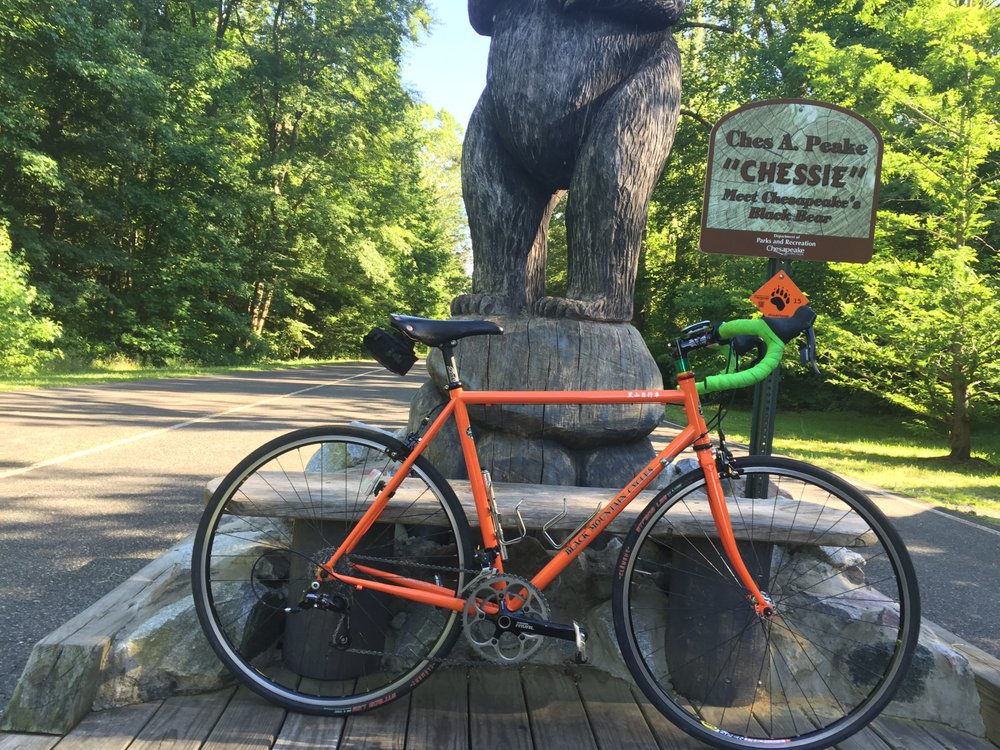 BLACK MOUNTAIN CYCLES Updated September 2024 33 Reviews 11101