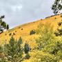 Photo of Aspen Vista Trail