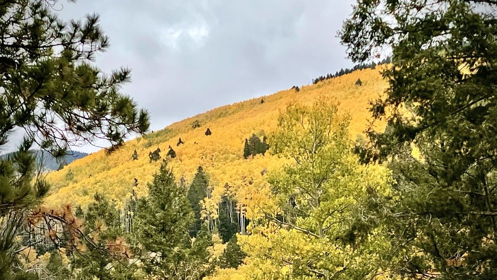 Aspen Vista Trail Logo