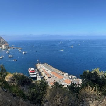 Catalina Island - Local Flavor Near Me Catalina Island - Local Flavor Near Me