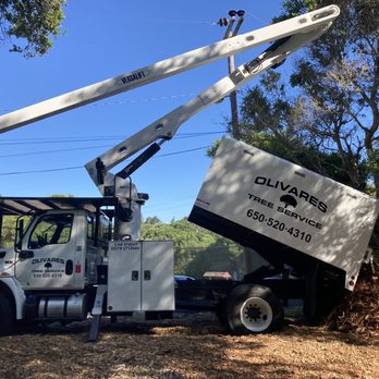 Olivares Tree Service - a truck with a crane - Tree Services Near Me Olivares Tree Service - a truck with a crane - Tree Services Near Me